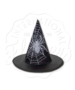 Haunted House Halloween Witch Black Hat