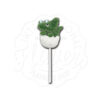 Spring Jelly Pops 23g